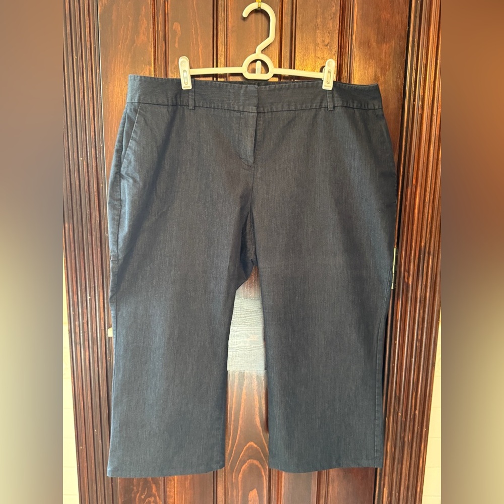 Talbots Navy Capri 18WP
